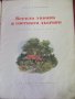 1957г. Детска Книжка "Весела Забава в Горската Дъбрава", снимка 2