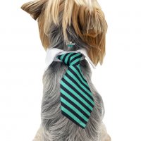 Вратовръзка за куче Официален костюм за куче Кучешки вратовръзки/папийонки Кучешка вратовръзка , снимка 1 - За кучета - 35995600