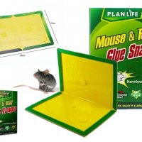 Капан с незасъхващо лепило за мишки и плъхове, снимка 1 - Други - 38026693