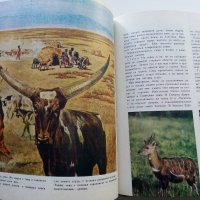 Картинна енциклопедия за юноши "Светът около нас - Книга 2"- 1974 г., снимка 10 - Колекции - 35505596
