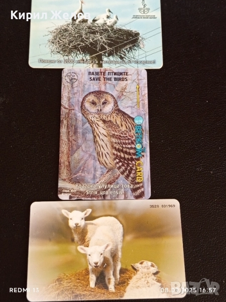 Три фонокарти МОБИКА, БУЛ ФОН, БЕТКОМ тема ЗАЩИТА на ЖИВОТНИТЕ 43447, снимка 1