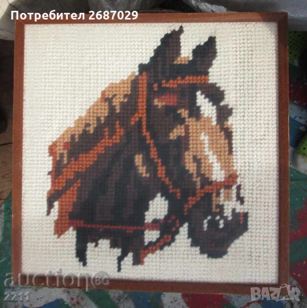 Кон коне, снимка 1