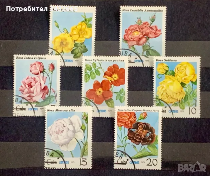 2572. Куба 1979 - “ Флора. Рози. “, СТО, снимка 1