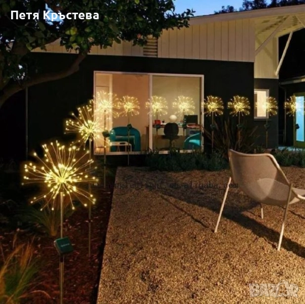 Соларно глухарче , снимка 1