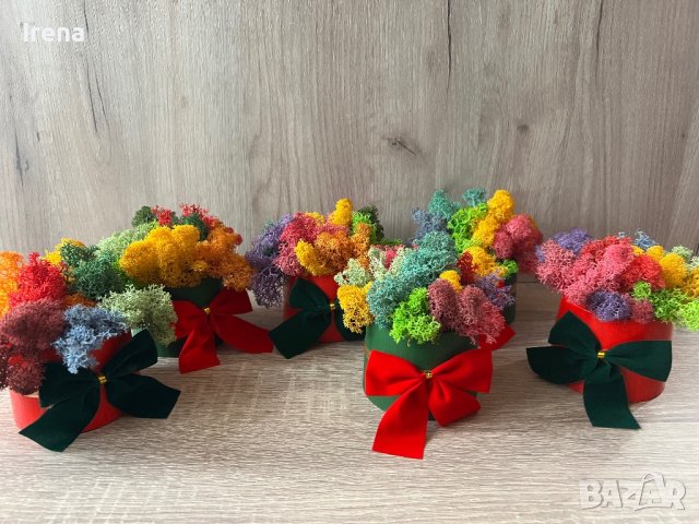 Кашпи със скандинавски мъх 8,50, снимка 7 - Декорация за дома - 42840962