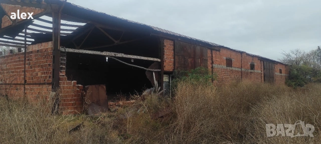 Стопанство за животни под наем, снимка 5 - Други - 53128177