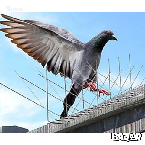 шипове против птици ,защита от гълъби-Силистра, снимка 2 - Други услуги - 43738980