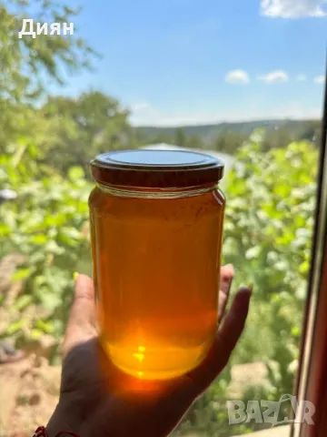 Мед , снимка 3 - Други - 48810026