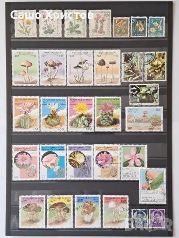 Пощенски марки тема ”Растения”., снимка 2 - Филателия - 49390160