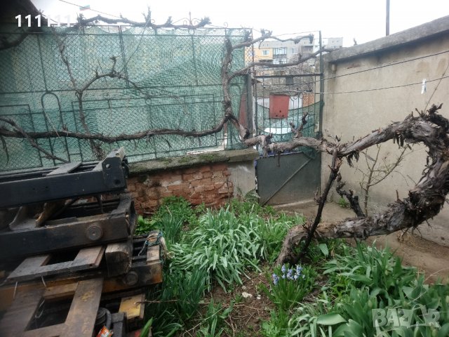 Лоза става за декорация за игра и катерене на котки , снимка 9 - Други стоки за дома - 32531302