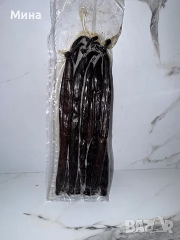 Мадагаскарска ванилия на шушулки, снимка 5 - Други - 48425355