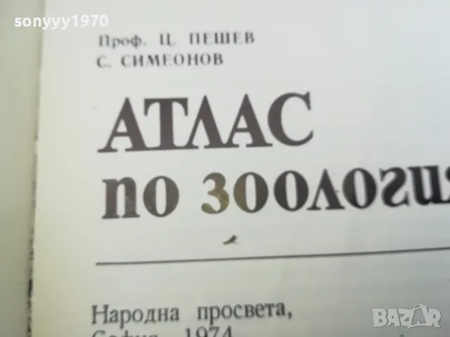 АТЛАС ПО ЗООЛОГИЯ 1974 1002250452, снимка 3 - Специализирана литература - 49049525