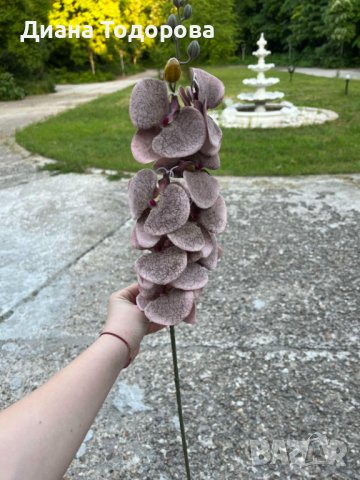Изкуствени орхидеи – стрък с 8 цвята  , снимка 4 - Изкуствени цветя - 38638420