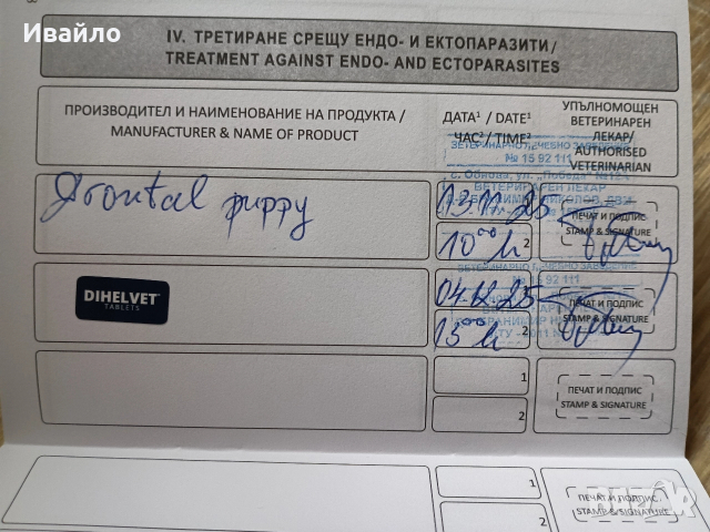 Продавам , снимка 6 - Курцхаар - 52690625