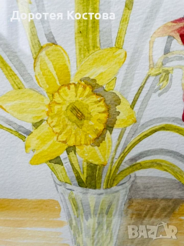 Красиви рисувани нарциси от Англия, снимка 8 - Антикварни и старинни предмети - 53398708