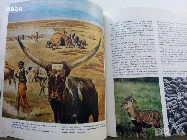 Картинна енциклопедия за юноши "Светът около нас - Книга 2"- 1974 г., снимка 10 - Колекции - 35505596