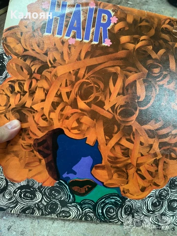 Грамофонна плоча - Hair