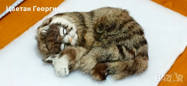 котка декорация