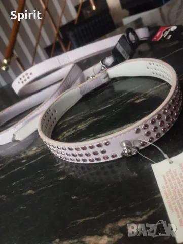 Комплект с камъни за средни и големи породи кучета , снимка 2 - За кучета - 47808869