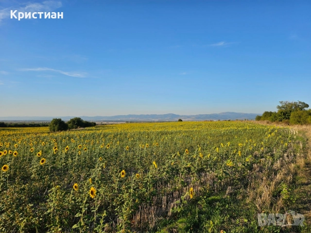 Парцел с.Нови хан 8232 дка., снимка 1