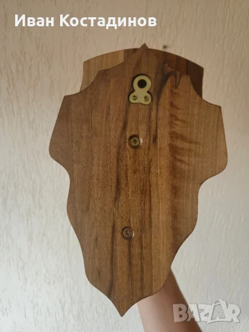 Ловен трофей от Дива коза , снимка 5 - Други - 51001488