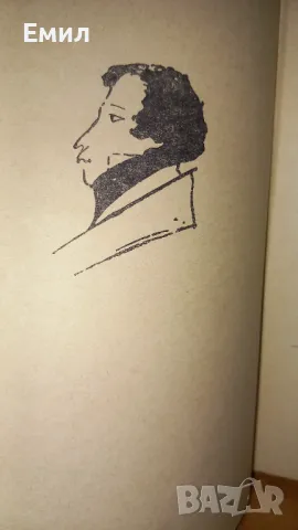 Пушкин -  Стихотворения, снимка 3 - Художествена литература - 50036377