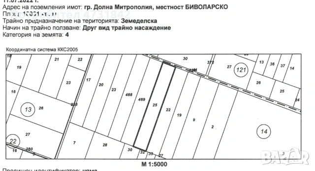 Орехова градина , снимка 3 - Земеделска земя - 53402202