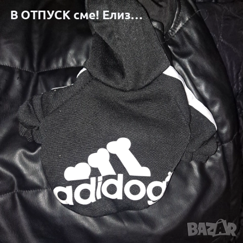 Adidog adidas дрешки за кученце пинчер.мини, снимка 3 - Суичъри - 52913552