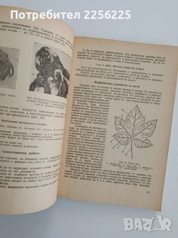 "Ръководство за практически занимания по лозарство 1964г", снимка 4 - Специализирана литература - 52295562