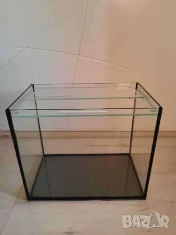 Дафния и Витамини на люспи - Храна за аквариумни рибки, снимка 3 - Други - 47883030