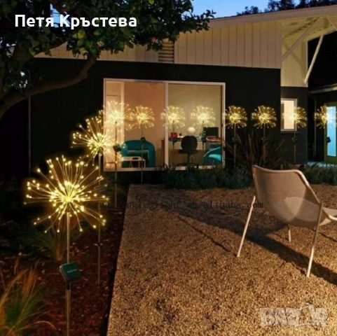 Соларно глухарче , снимка 1