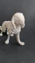 Порцеланова статуетка куче сетер  Германия, снимка 2