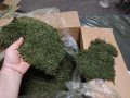 Промоция - декоративен плосък стабилизиран скандинавски естествен мъх., снимка 7