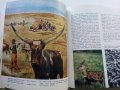 Картинна енциклопедия за юноши "Светът около нас - Книга 2"- 1974 г., снимка 10