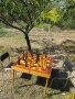 Градински шах, снимка 6