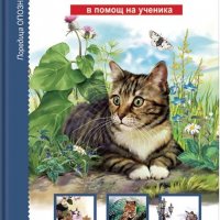 Котки: В помощ на ученика, снимка 1 - Детски книжки - 37187751
