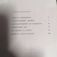 Наричаха ни конспиратори - Йордан Панов -  Шемшето, снимка 3 - Художествена литература - 39728442