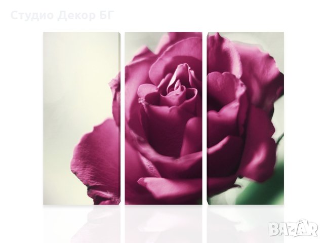 Картина Роза #273 от 3 части, снимка 1
