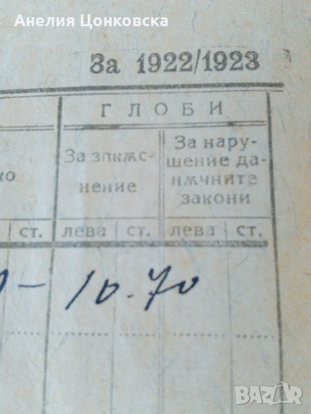 ДАНЪЧНА КНИЖКА 1922 г., снимка 1