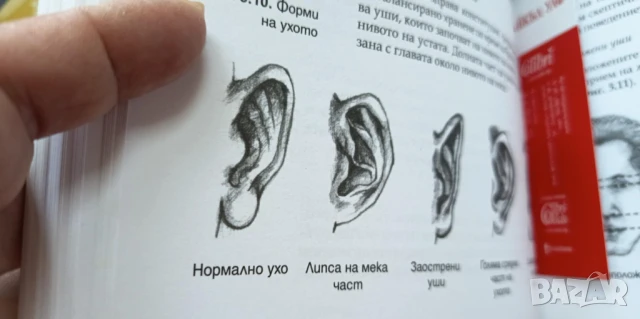 Вашето тяло никога не лъже. Пълно ръководство по източна диагностика , снимка 4 - Художествена литература - 51095449