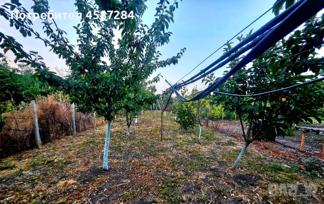 ПРОМО ЦЕНА!!! Собственик продава прекрасна къща с двор в кв.Каменар, Поморие, снимка 17 - Къщи - 51628201