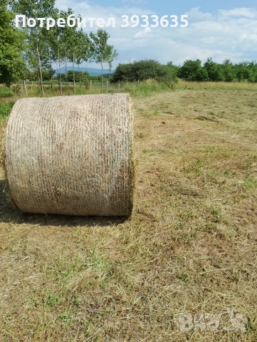 свободни Бали сяно мн добро дъжд не го е валяло, снимка 3 - За селскостопански - 53571322