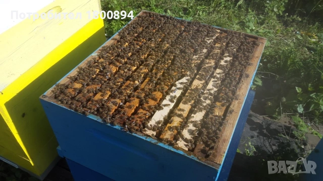 ОТВОДКИ 2026, снимка 7 - За пчели - 53397053
