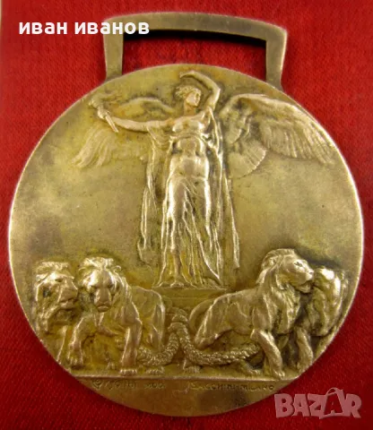 КРАЛСТВО ИТАЛИЯ-НАГРАДЕН МЕДАЛ ЗА ПОБЕДАТА В ПЪРВА СВ.ВОЙНА, снимка 5 - Колекции - 49871510