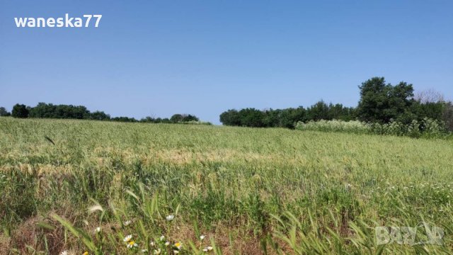 Парцел УПИ, с. Бяло поле, общ. Опан, обл. Стара Загора , снимка 9 - Парцели - 39527875