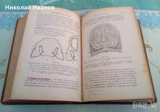 Антикварна медицинска книга учебник на френски език, снимка 9 - Специализирана литература - 28235619