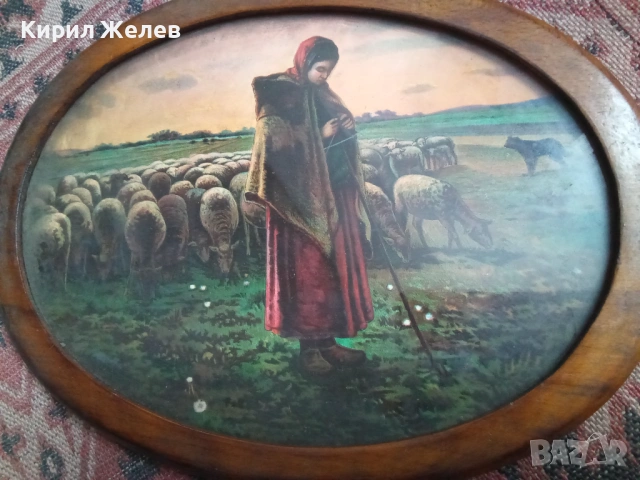 Картина на овчарка 53683, снимка 4 - Картини - 53390595