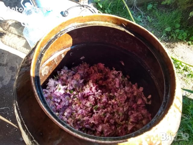 Розова вода -собствено производство(2025г.-НОВА ПАРТИДА!!!), снимка 8 - Други - 29032303