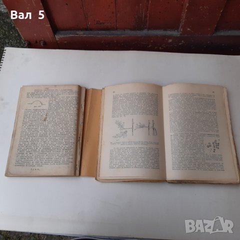 Физиология на човека + Физиология 1929 , 1933 г, снимка 5 - Специализирана литература - 28873518