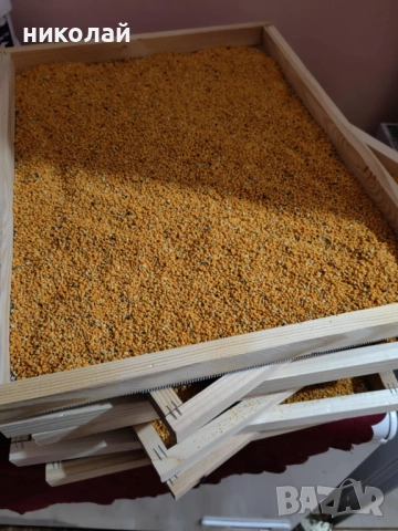 Продавам чист домашен пчелен мед и пчелен прашец , снимка 4 - Пчелни продукти - 51852441